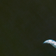 Image for article titled Voyager's Iconic Shot of Earth and Moon Shows How Far Space Photography Has Come